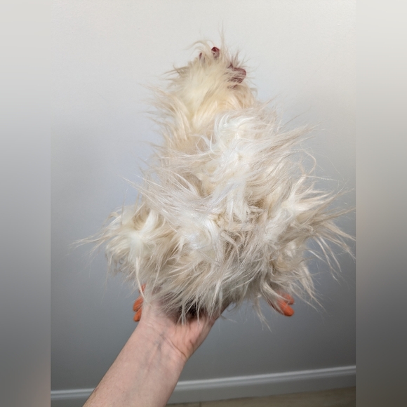 JELLYCAT Chelsea Chicken Soft Plush Toy Rare Retired NEW Long Hair 12" NWT - Picture 3 of 8